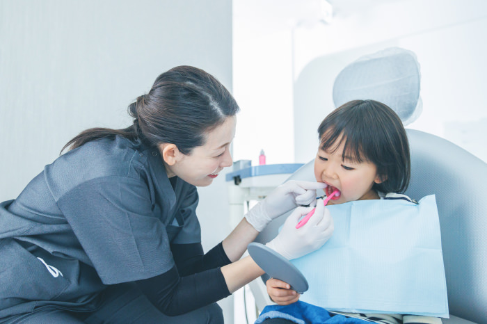 小児歯科学 第6版 Amazon.co.jp: 小児歯科学 第6版 : 白川 哲夫, 福本 敏, 岩本 勉